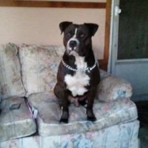 Meet your Posher, Pat